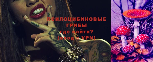 прущие грибы Пересвет